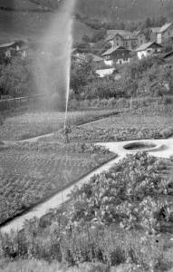 Gartenszene aus den 30er Jahren